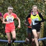 Top Races to Try for Beginners